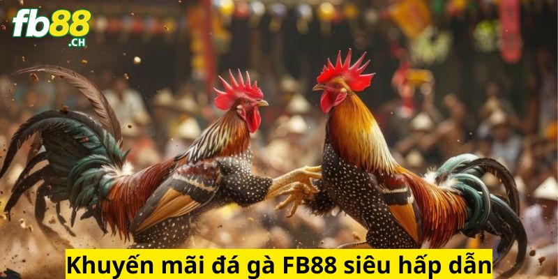 Cược tại FB88 nhận nhiều khuyến mãi