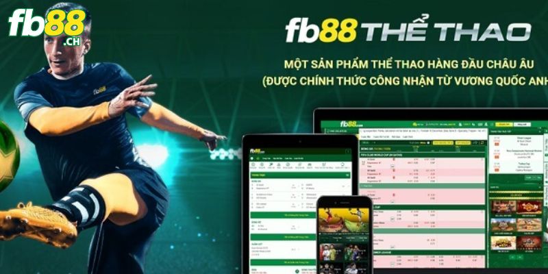 Cá cược thể thao là chuyên mục có đông đảo anh em giải trí nhất